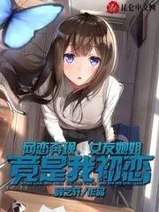 《网恋奔现，女友她姐竟是我初恋》小说封面