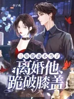 《三年贤妻不当了，离婚他跪破膝盖》小说封面