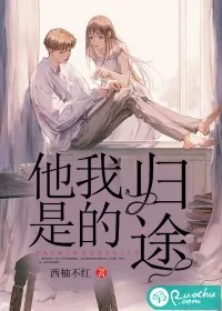 《他是我的归途》小说封面