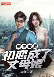 《同学聚会：初恋成了丈母娘》小说封面
