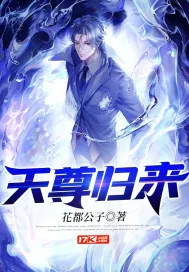 《天尊归来》小说封面