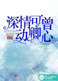 《深情可曾动卿心》小说封面