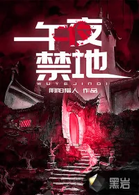 《午夜禁地》小说封面