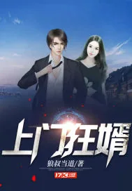 《上门狂婿》小说封面