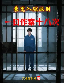 《蒙冤入狱服刑，一日作案十八次》小说封面