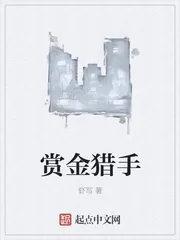 《赏金猎手》小说封面