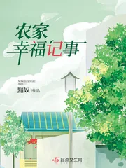 《农家幸福记事》小说封面