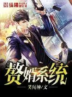 《赘婿系统》小说封面