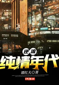 《逆流纯情年代》小说封面