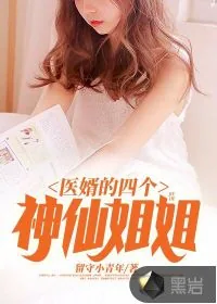 《医婿的四个神仙姐姐》小说封面