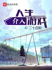 《人生介入游戏》小说封面