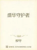 《盛华守护者》小说封面