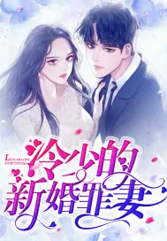 《冷少的新婚罪妻》小说封面