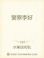 《警察李好》小说封面