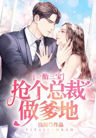 《一胎三宝：抢个总裁做爹地》小说封面
