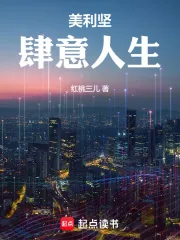 《美利坚肆意人生》小说封面