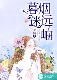 《暮烟迷远岫》小说封面