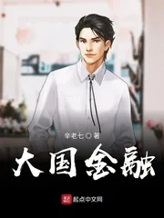 《大国金融》小说封面