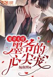 《宠妻无度：墨爷的心尖宠》小说封面