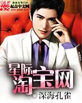 《星际淘宝网》小说封面