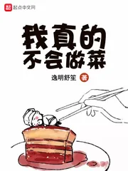 《我真的不会做菜》小说封面