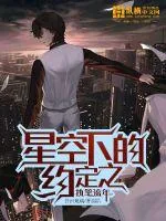 《星空下的约定之执笔流年》小说封面
