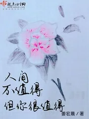 《人间不值得但你很值得》小说封面