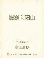 《巍巍向阳山》小说封面