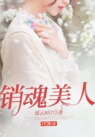 《销魂美人》小说封面