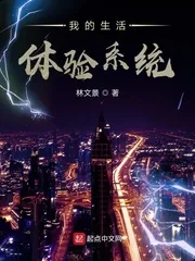 《我的生活体验系统》小说封面