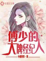 《傅少的大牌经纪人》小说封面