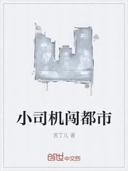 《小司机闯都市》小说封面
