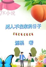 《男人不在家的日子》小说封面