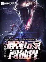 《最强玩家闯仙界》小说封面