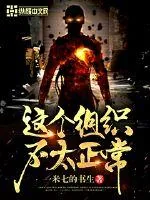 《这个组织不太正常》小说封面