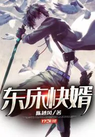 《东床快婿》小说封面