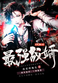 《林霄秦婉》小说封面