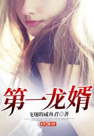 《第一龙婿》小说封面