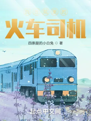 《四合院里的火车司机》小说封面