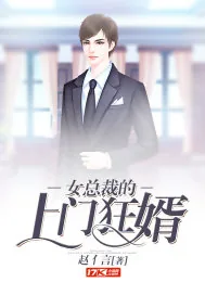 《女总裁的上门狂婿》小说封面