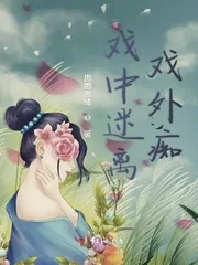 《戏中迷离戏外痴》小说封面