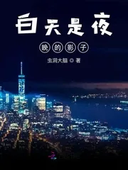 《白天是夜晚的影子》小说封面