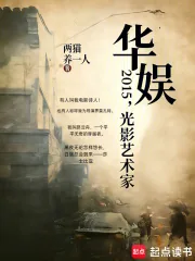 《华娱2015，光影艺术家》小说封面