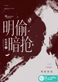 《明偷暗抢》小说封面