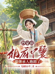 《抄家前，相府丫鬟带继承人跑路了》小说封面