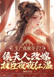 《生产夜被夺子？侯夫人改嫁权臣夜夜红温》小说封面