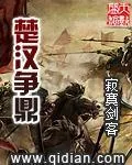 《楚汉争鼎》小说封面