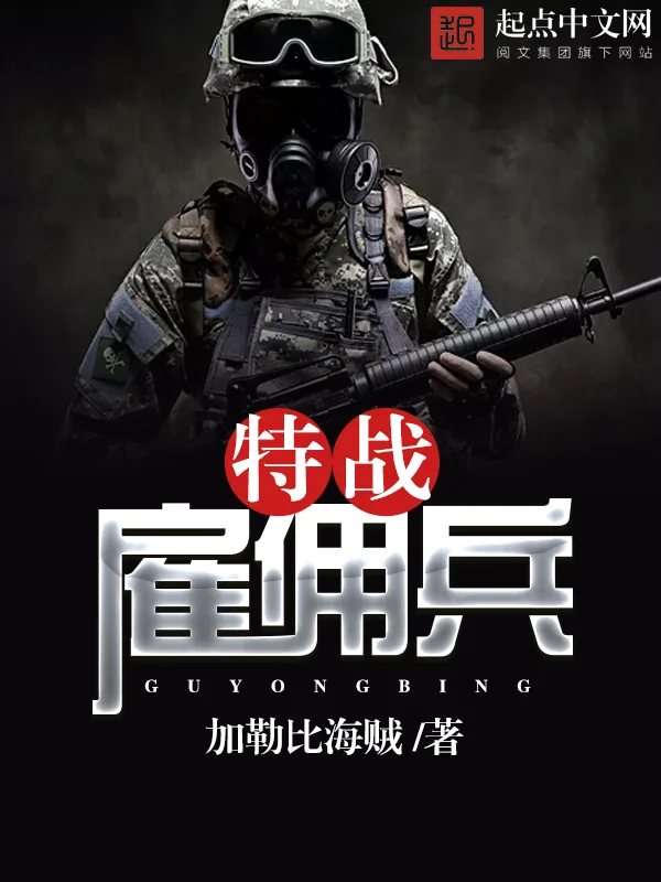 《特战雇佣兵》小说封面
