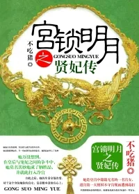 《宫锁明月之贤妃传》小说封面