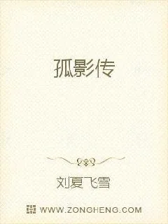 《孤影传》小说封面